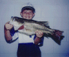 4-29-90.GIF (149494 bytes)